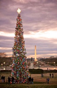 treeindc
